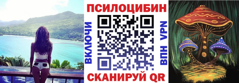 Купить где Ельня Псилоцибиновые грибы Magic Shrooms