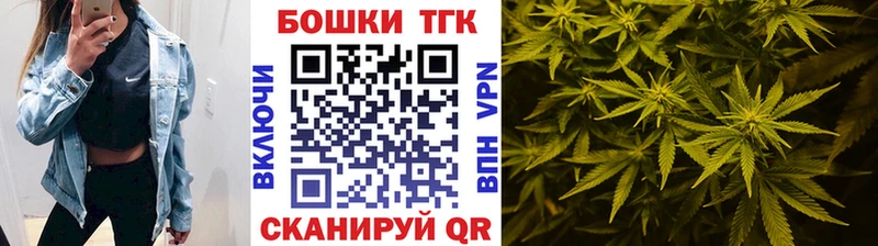 Бошки марихуана White Widow  Купить закладки  Ельня 